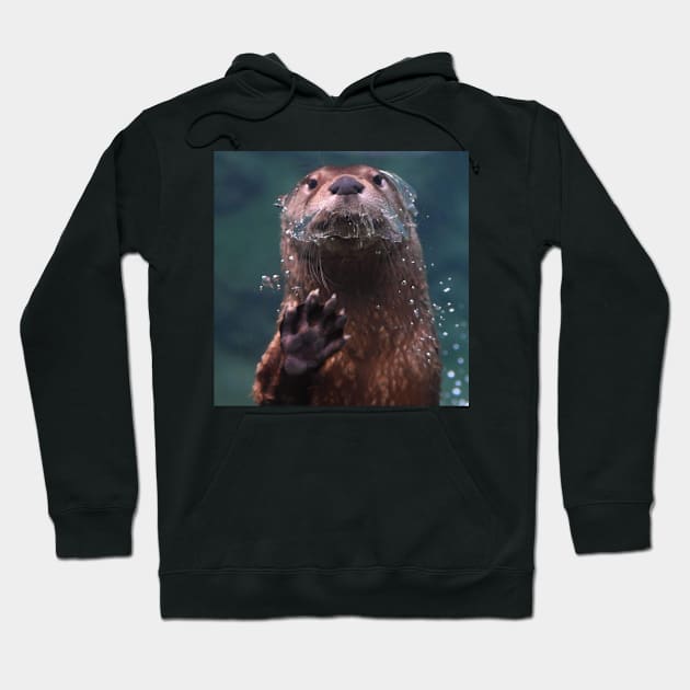 North American River Otter Hoodie by Sharonzoolady